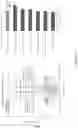 Fig. 10 - MICROBIOTA COMPOSITION, AS A MARKER OF RESPONSIVENESS TO ANTI-PD1/PD-L1/PD-L2