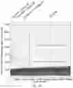 Fig. 11 - DETECTION OF TARGET NUCLEIC ACID AND VARIANTS