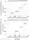 Fig. 19 - DETECTION OF TARGET NUCLEIC ACID AND VARIANTS