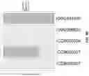 Fig. 16 - IDENTIFICATION OF HER2 MUTATIONS IN LUNG CANCER AND METHODS OF TREATMENT