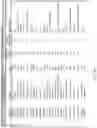 Fig. 22 - IDENTIFICATION OF HER2 MUTATIONS IN LUNG CANCER AND METHODS OF TREATMENT
