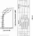 Fig. 72 - IDENTIFICATION OF HER2 MUTATIONS IN LUNG CANCER AND METHODS OF TREATMENT