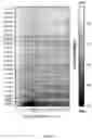 Fig. 16 - Methods of modulating immune response