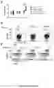 Fig. 30 - Methods of modulating immune response