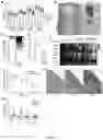 Fig. 32 - Methods of modulating immune response