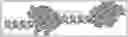Fig. 01 - Analysis of chromatin using a nicking enzyme