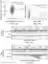 Fig. 05 - Analysis of chromatin using a nicking enzyme