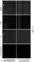 Fig. 13 - Analysis of chromatin using a nicking enzyme