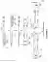 Fig. 02 - Rapid Viral Diagnostic Test