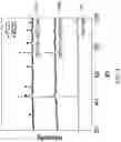 Fig. 04 - High entropy alloy structure and a method of preparing the same