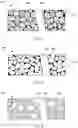 Fig. 05 - Thermo-hydrogen refinement of microstructure of titanium materials