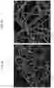 Fig. 03 - METHOD OF FABRICATING AND COATING COPPER NANOWIRES