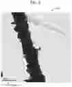 Fig. 04 - METHOD OF FABRICATING AND COATING COPPER NANOWIRES