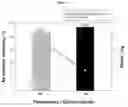 Fig. 03 - Electroless plating solution and electroless plating method for recovering precious metal adsorbed on porous porphyrin polymer