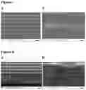 Fig. 05 - SINGLE RUN DEPOSITION FOR FORMING SUPERCOMPOSITE STRUCTURES