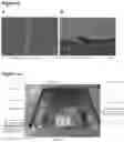 Fig. 06 - SINGLE RUN DEPOSITION FOR FORMING SUPERCOMPOSITE STRUCTURES