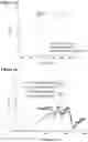 Fig. 07 - SINGLE RUN DEPOSITION FOR FORMING SUPERCOMPOSITE STRUCTURES