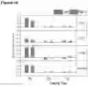 Fig. 12 - SINGLE RUN DEPOSITION FOR FORMING SUPERCOMPOSITE STRUCTURES