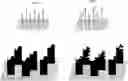 Fig. 01 - Vertical branched graphene