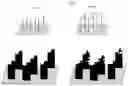 Fig. 02 - Vertical branched graphene
