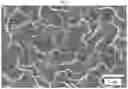 Fig. 03 - Vertical branched graphene