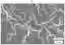Fig. 04 - Vertical branched graphene