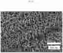 Fig. 11 - Vertical branched graphene
