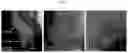 Fig. 14 - Vertical branched graphene