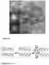 Fig. 09 - ELECTRODE MATERIAL