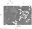 Fig. 02 - POLYCRYSTALLINE MATERIAL, BODIES COMPRISING SAME, TOOLS COMPRISING SAME AND METHOD FOR MAKING SAME