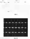 Fig. 09 - Functional Braided Composite Yarn