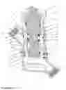 Fig. 03 - PLUMBING FITTING