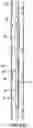 Fig. 03 - SURGE CONTROL SYSTEM FOR MANAGED PRESSURE DRILLING OPERATIONS