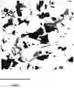 Fig. 01 - Method and system of evaluating hydrocarbon in heterogeneous formation