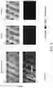 Fig. 08 - METHODS AND SYSTEM FOR CLEANING GAS TURBINE ENGINE
