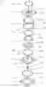 Fig. 01 - Explosively propelled piston assembly