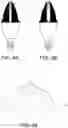 Fig. 06 - Filament lamp