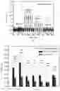 Fig. 07 - DEVICES AND METHODS INCLUDING A PRECONCENTRATOR MATERIAL FOR DETECTION OF ANALYTES