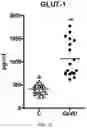 Fig. 06 - Endothelial Cell Derived Exosomes and Uses Thereof