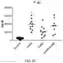 Fig. 10 - Endothelial Cell Derived Exosomes and Uses Thereof