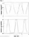 Fig. 05 - Parametric device comprising optical materials spatiotemporally varying permittivity