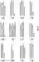 Fig. 09 - METHOD AND APPARATUS FOR STAMP GENERATION AND CURING