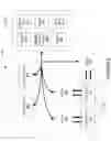 Fig. 07 - Playback queue with software components