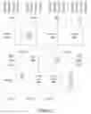 Fig. 03 - Dynamic I/O virtualization system having guest memory management for mapping virtual addresses using virtualization application programming interface (API) in guest kernal