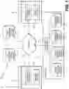 Fig. 02 - Systems and methods for providing a hybrid mobile application