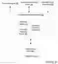 Fig. 03 - Optimizing logging of decision outcomes in distributed transactions