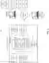 Fig. 02 - Network source identification via audio signals