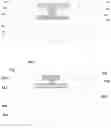 Fig. 08 - DISPLAY PANEL AND DISPLAY DEVICE