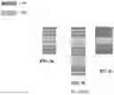 Fig. 06 - MULTILAYER MEMBRANES, SEPARATORS, BATTERIES, AND METHODS