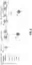 Fig. 04 - Flux-tunable qubit architecture for multiplexing qubit control lines